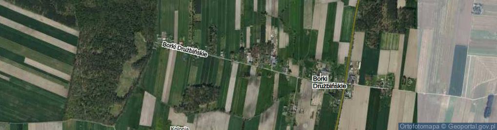 Zdjęcie satelitarne Borki Drużbińskie ul.